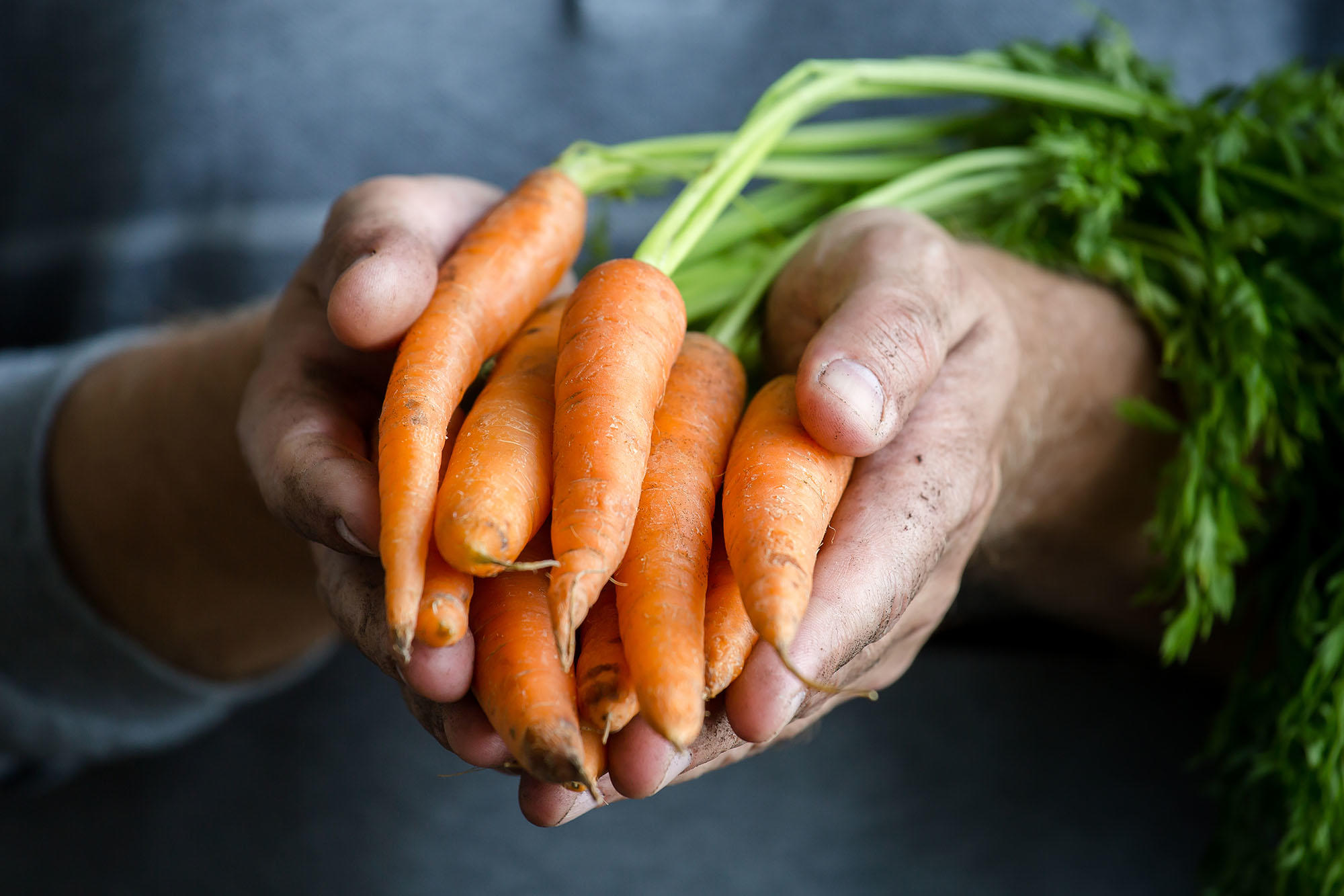 Klimatick&aacute; neutralita